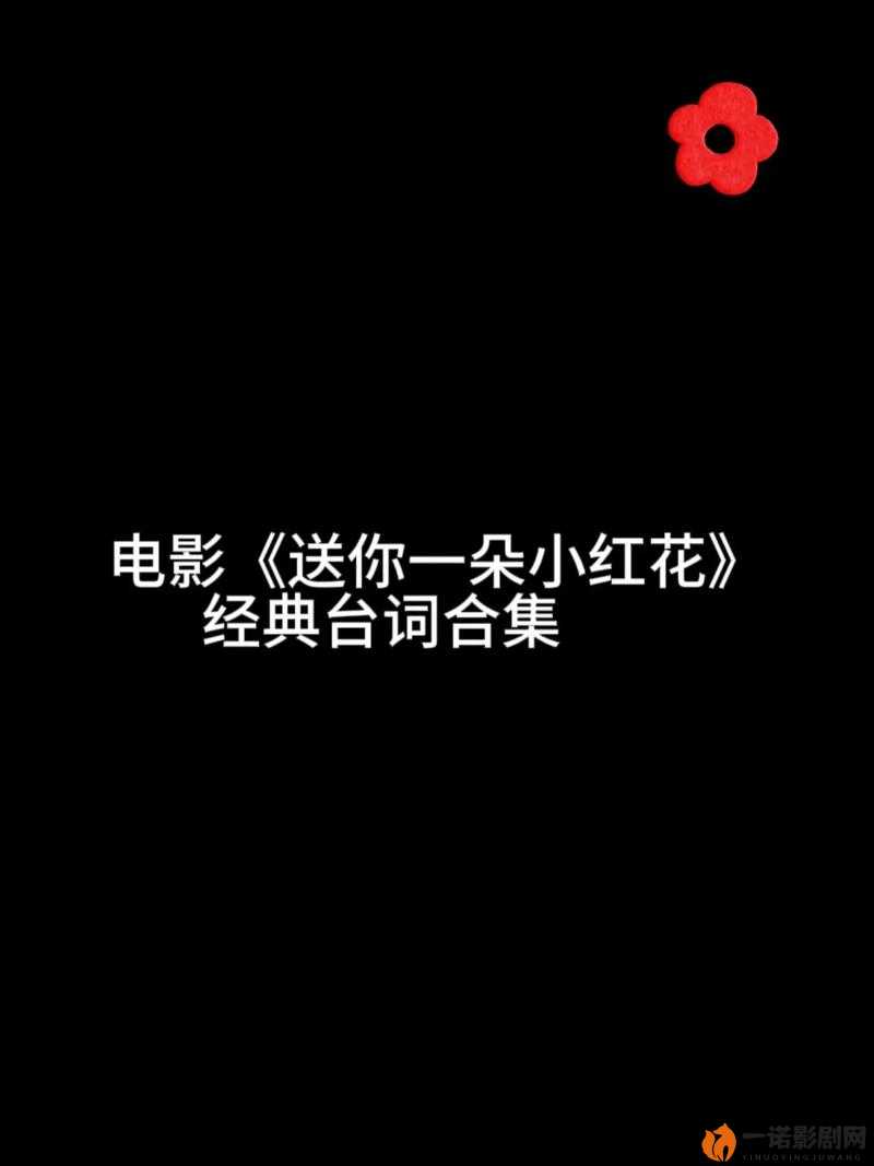 送你一朵小红花：疼痛里的微光，生命最后的倔强