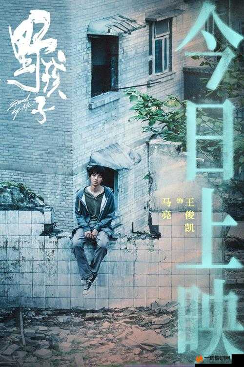 野孩子：被驯化的灵魂终将迷失