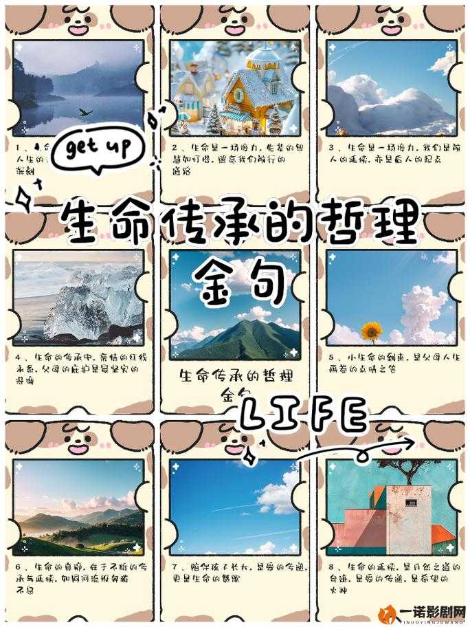 生命的红线——解析电影第二十条背后的伦理漩涡