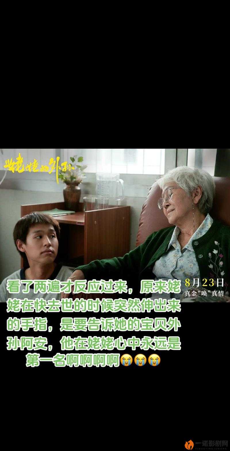 跨越时空的亲情绝唱——姥姥的外孙深情解析