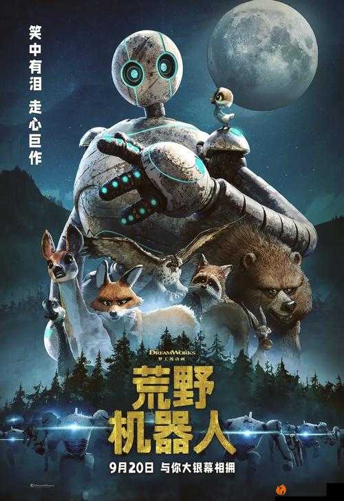 荒野机器人：当金属之心邂逅人性温度